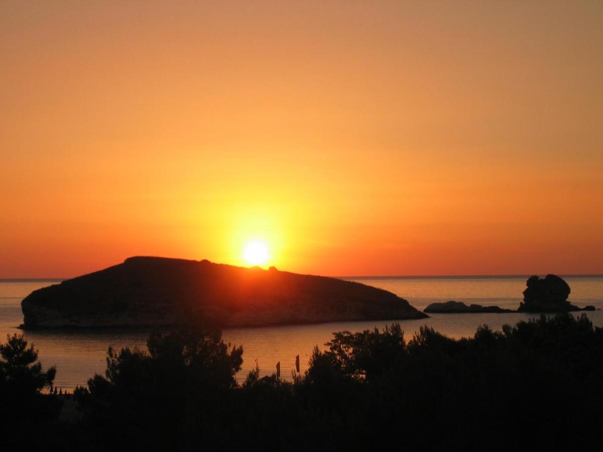 Hotel Portonuovo Vieste Oda fotoğraf