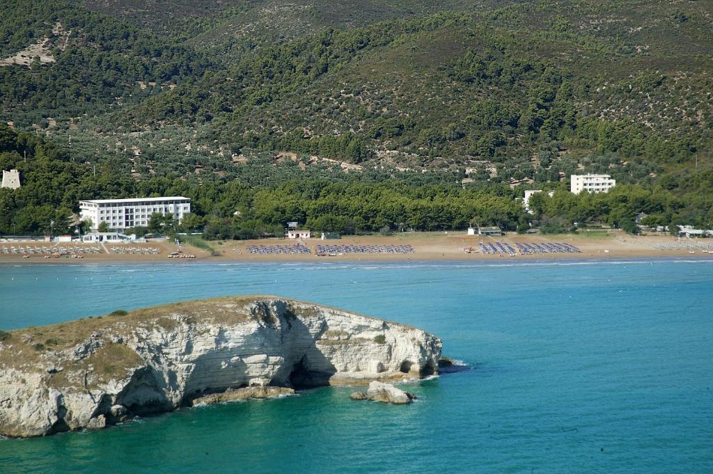Hotel Portonuovo Vieste Oda fotoğraf